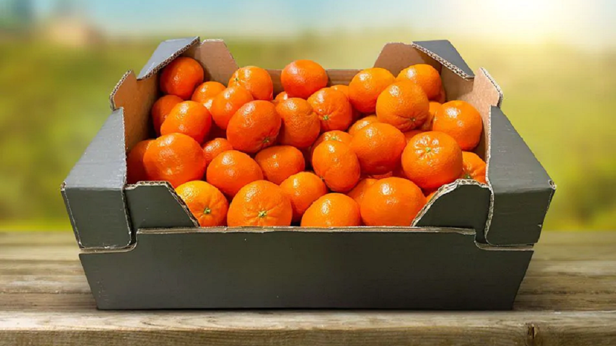 mandarina caja ejido.png